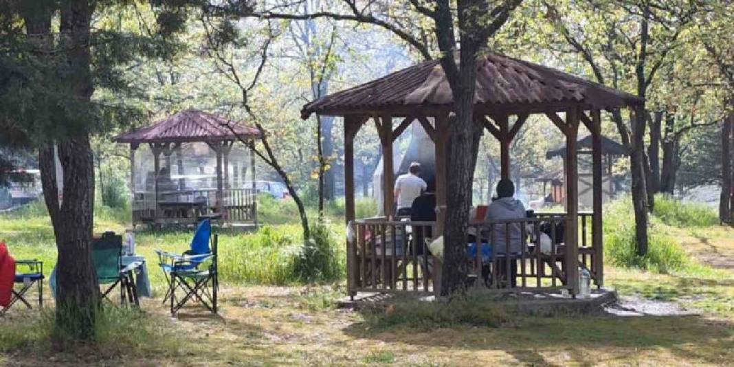 Yeşil ve maviyi buluşturan doğal cennet! Aileler ve fotoğrafçılar akın ediyor 5